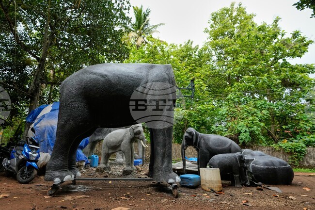 APTOPIX India Robotic Elephants