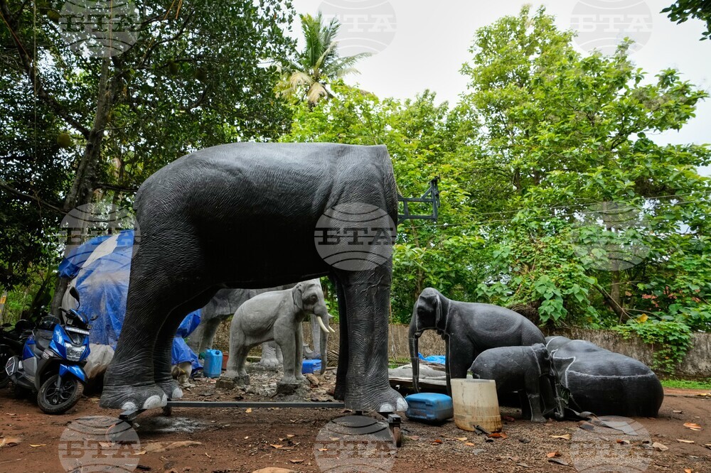 APTOPIX India Robotic Elephants