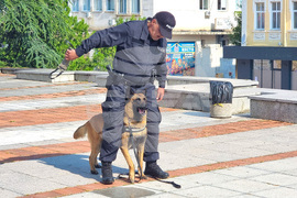 Шумен - полиция - професионален празник - ден на отворените врати