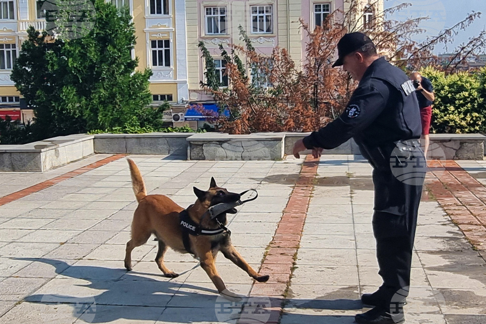 Шумен - полиция - професионален празник - ден на отворените врати