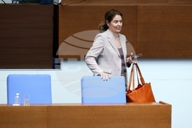Народно събрание - парламентарен контрол