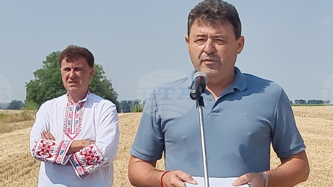 Зърнопроизводителите в района на Генерал Тошево очакват добра реколта от есенниците