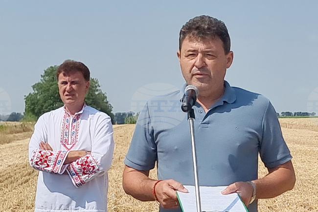 Зърнопроизводителите в района на Генерал Тошево очакват добра реколта от есенниците