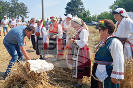 Генерал Тошево - жътвена кампания - начало