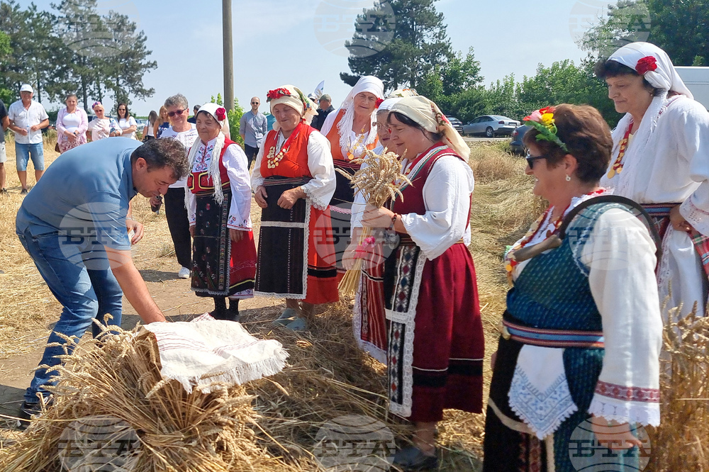 Генерал Тошево - жътвена кампания - начало