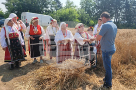 Генерал Тошево - жътвена кампания - начало