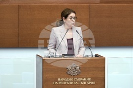 Народно събрание - парламентарен контрол