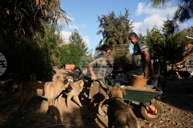 Lebanon Animal Shelter