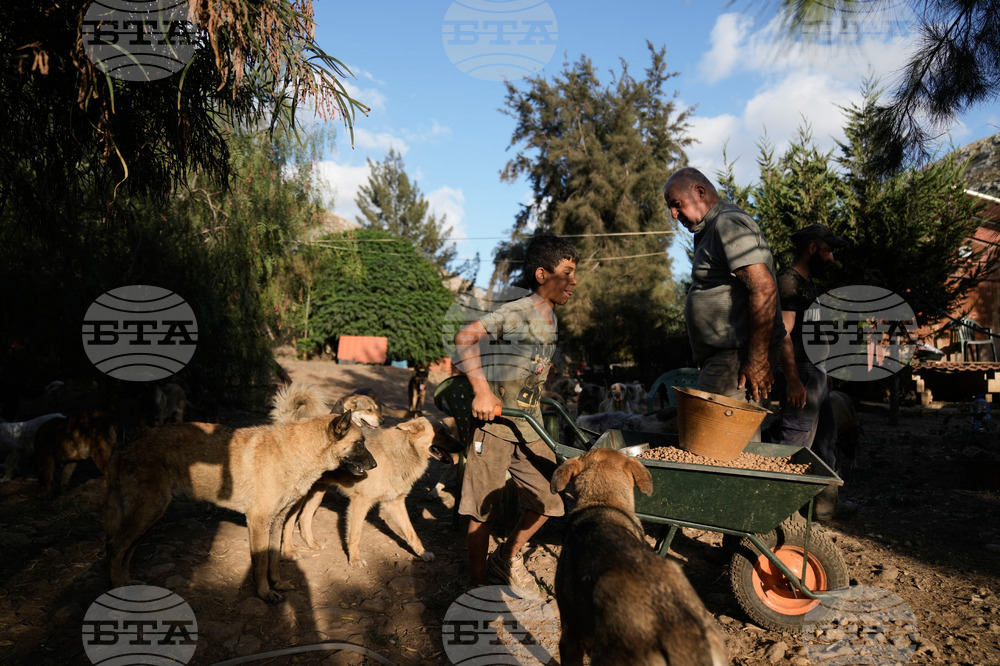 Lebanon Animal Shelter