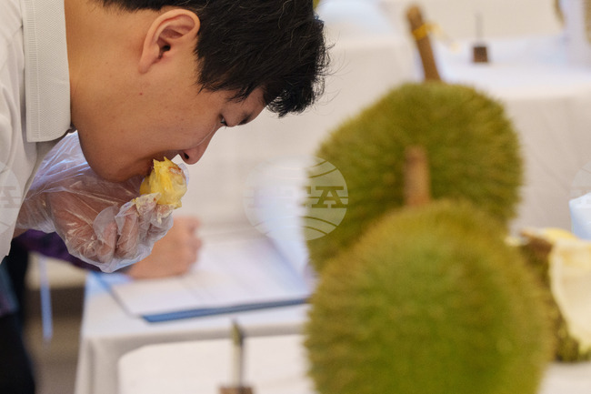 Malaysia Durian