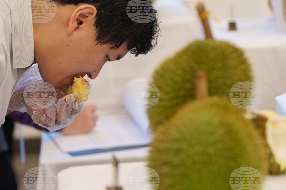 Malaysia Durian