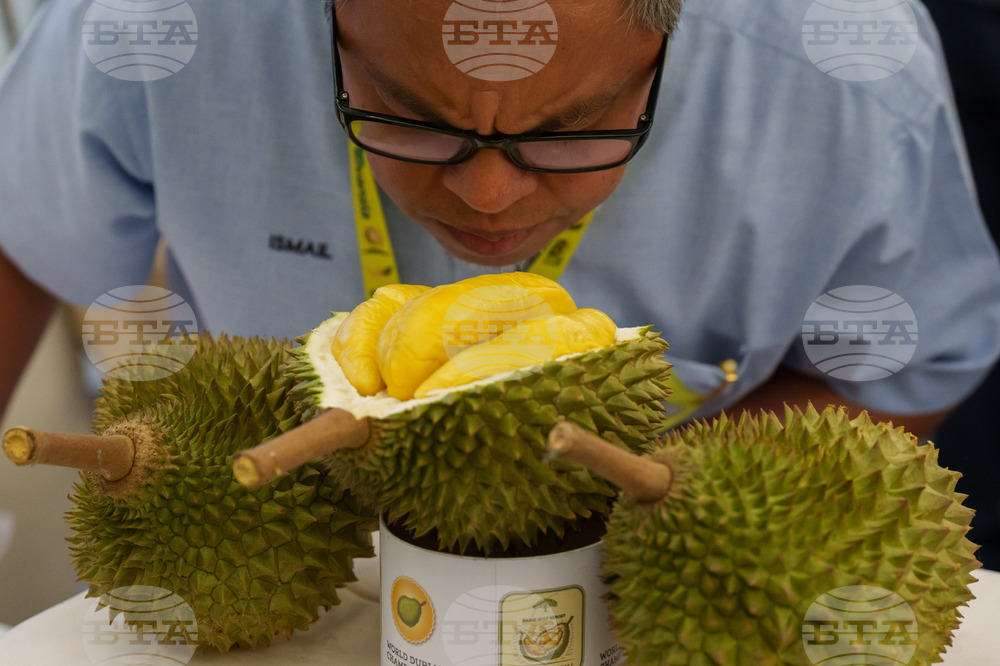 Malaysia Durian