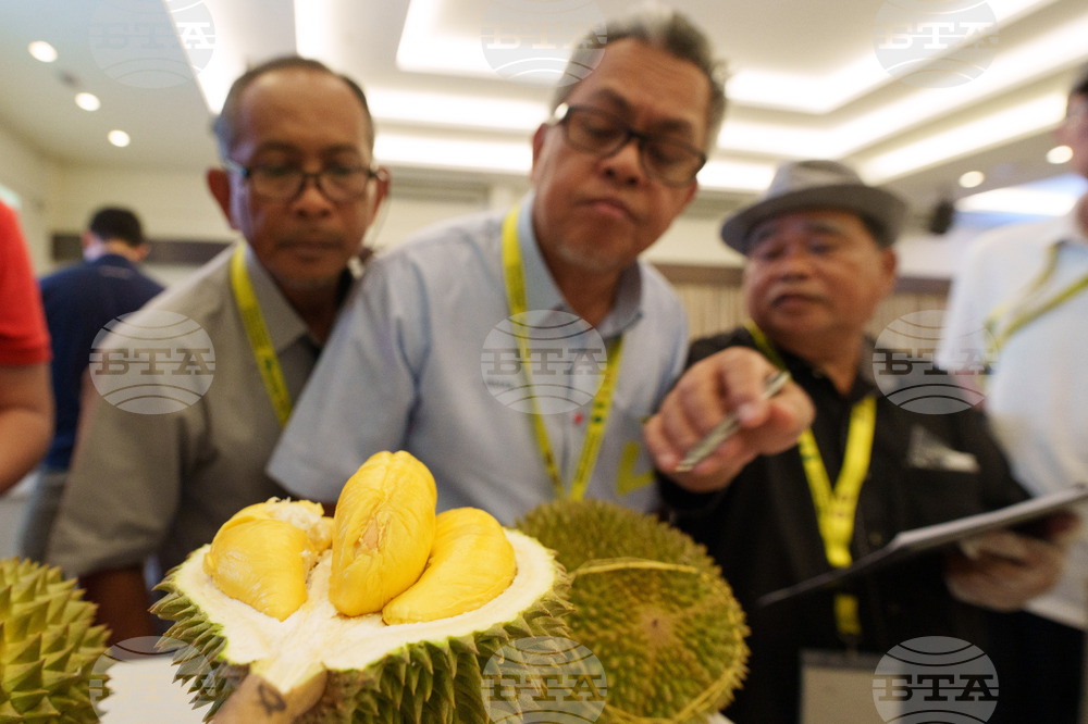 Malaysia Durian