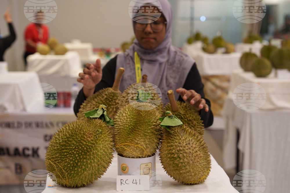 Malaysia Durian