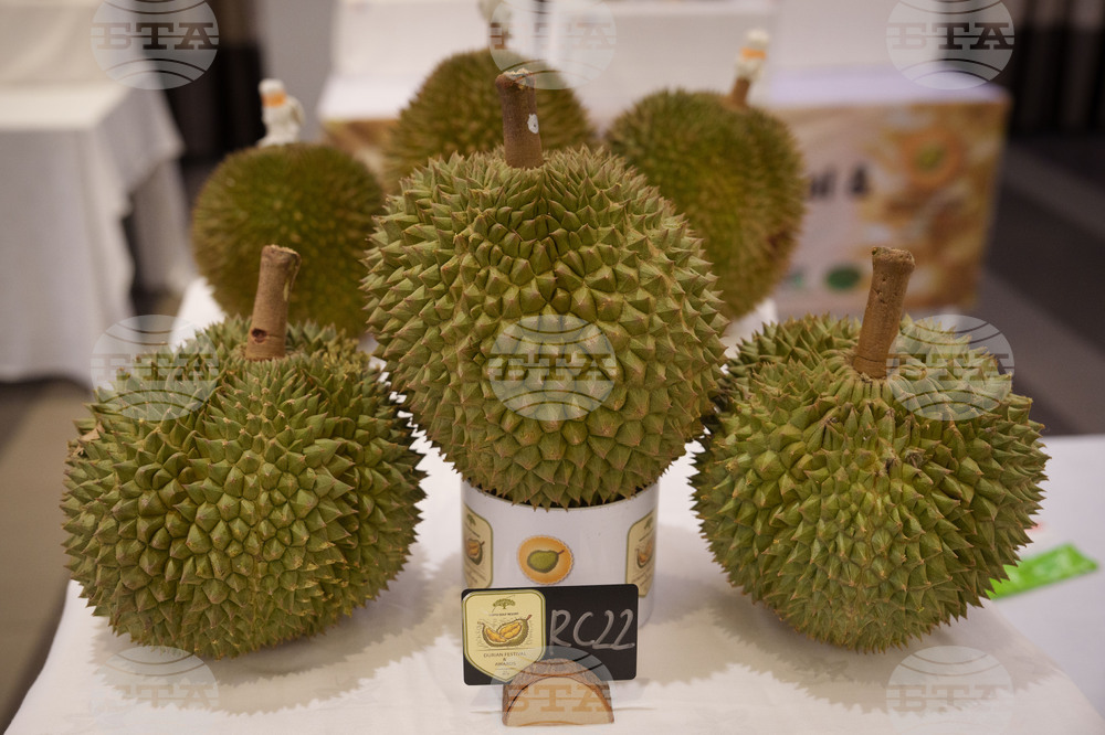 Malaysia Durian