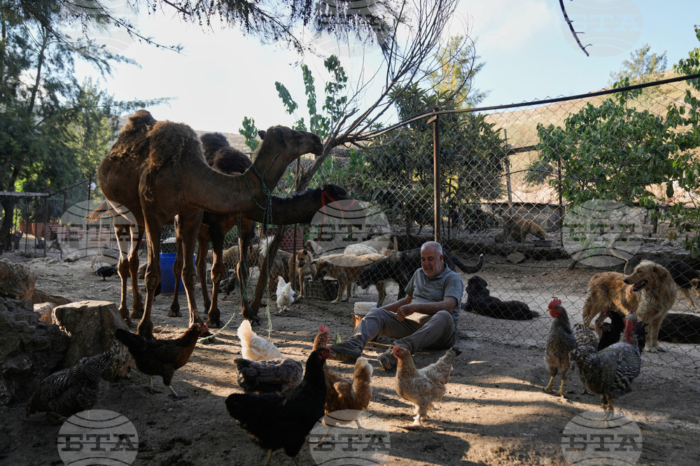 Lebanon Animal Shelter