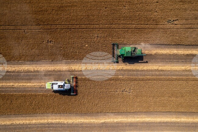 Hungary Agriculture
