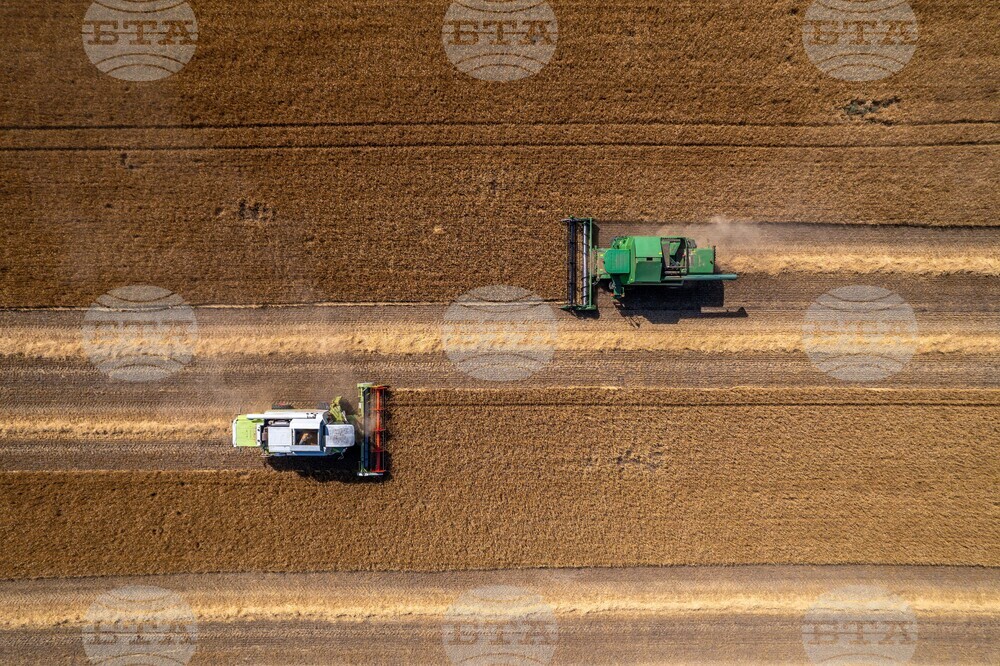 Hungary Agriculture
