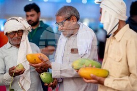 India Mango Festival