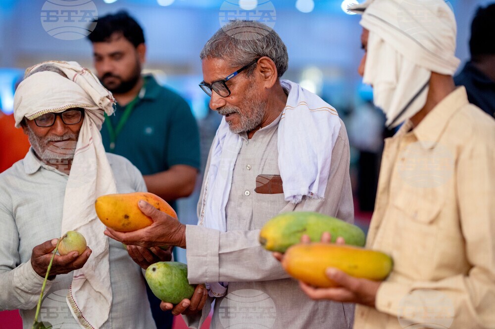 India Mango Festival