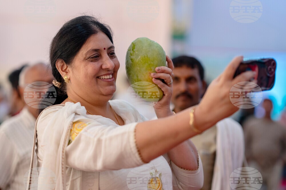 India Mango Festival
