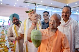 India Mango Festival