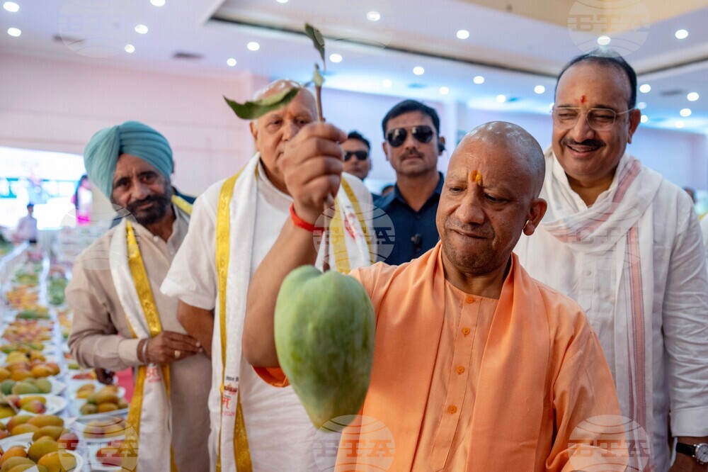 India Mango Festival
