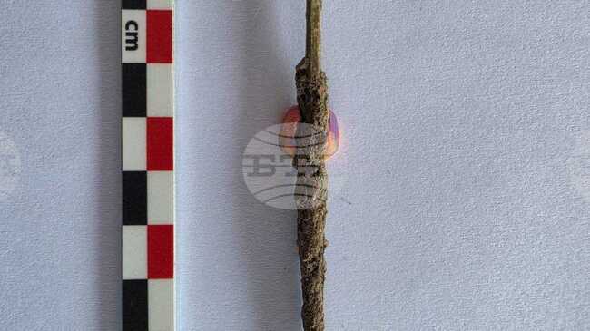 Rare Ancient Medical Instrument Discovered During Excavations at Heraclea Sintica