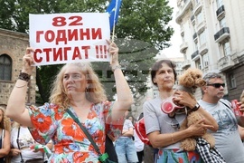 Протест срещу правителството
