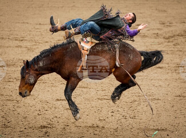 APTOPIX Calgary Stampede Rodeo
