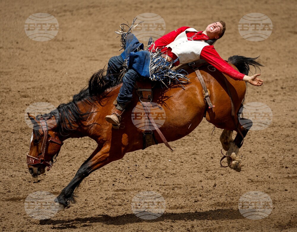 Calgary Stampede Rodeo