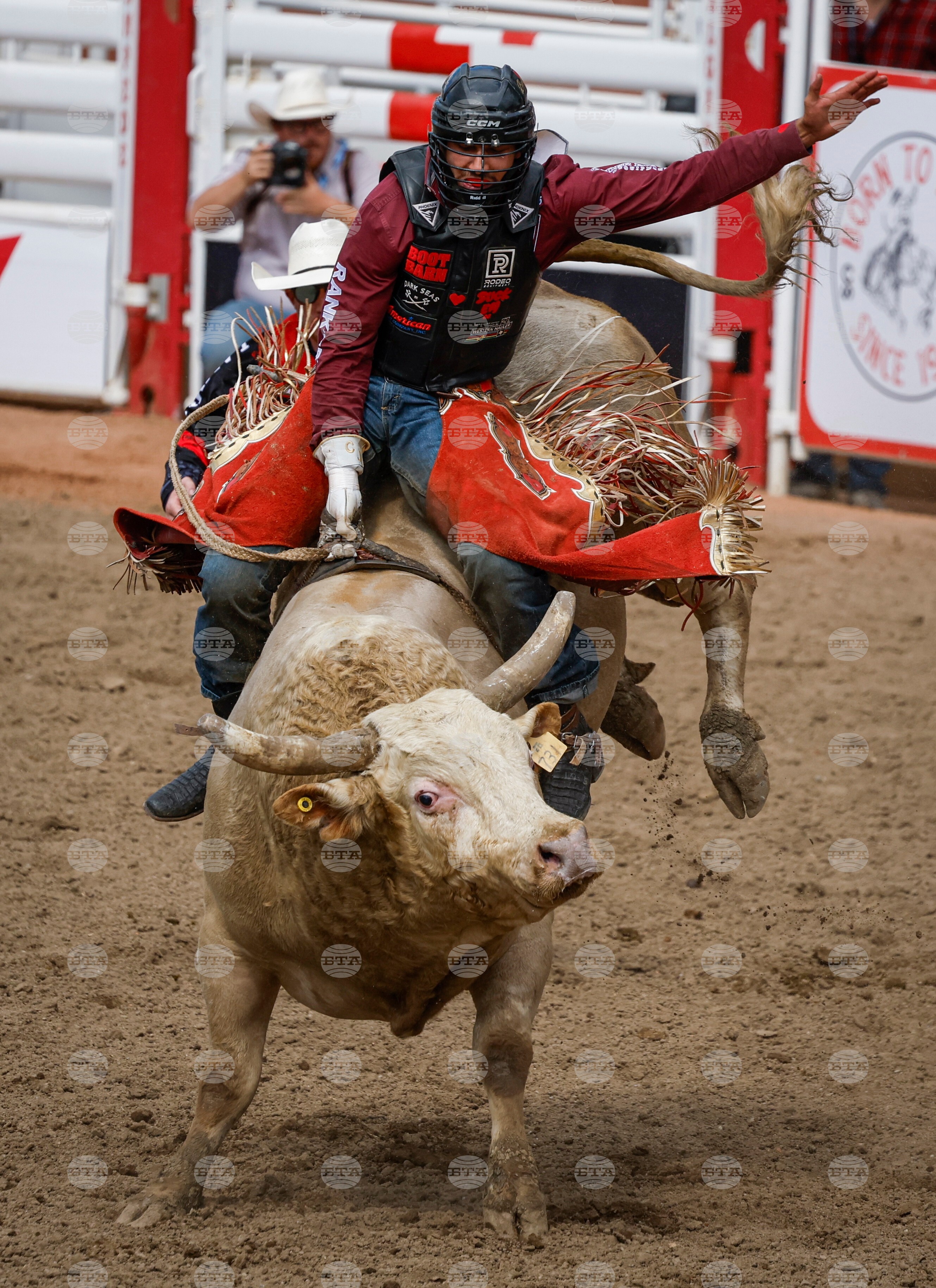 Calgary Stampede Rodeo