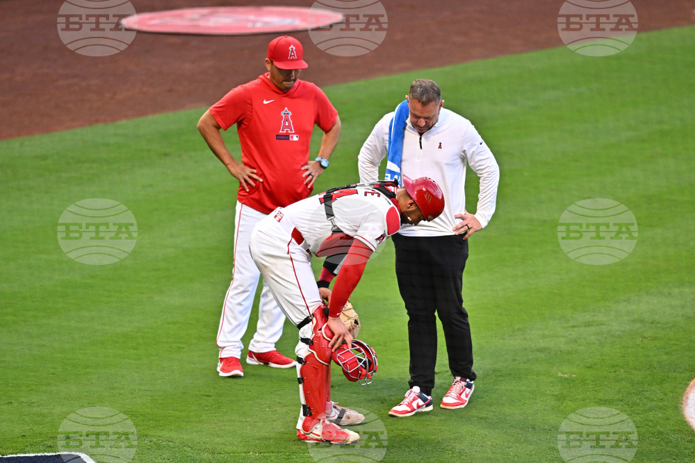 Red Sox Angels Baseball