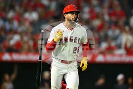 Red Sox Angels Baseball