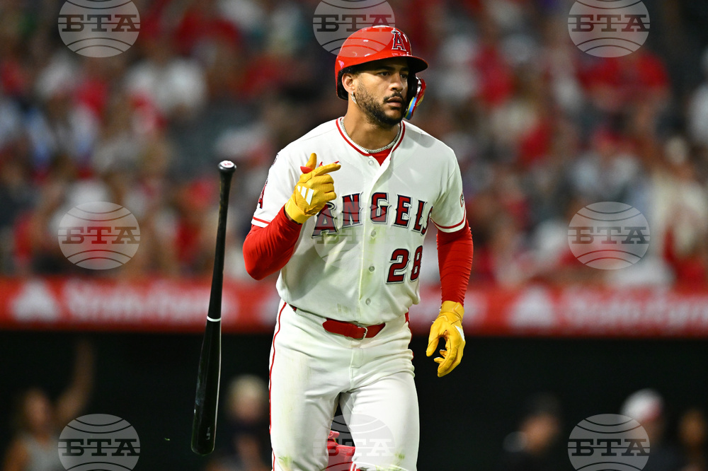 Red Sox Angels Baseball