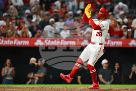 Red Sox Angels Baseball