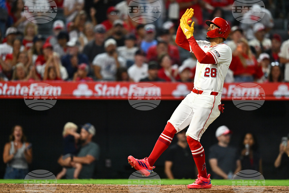 Red Sox Angels Baseball