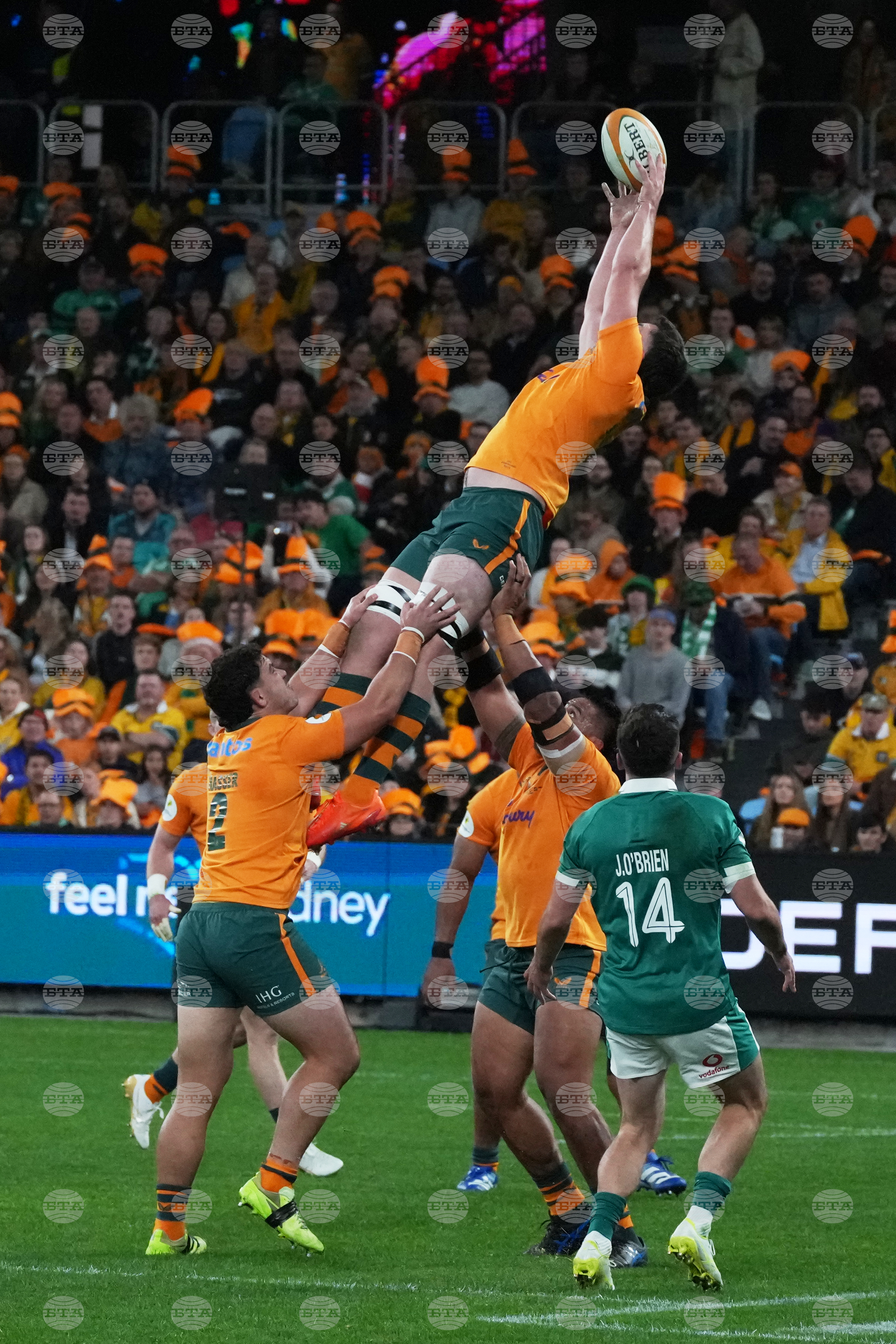 Australia Ireland Nations Championship Rugby
