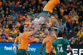 Australia Ireland Nations Championship Rugby