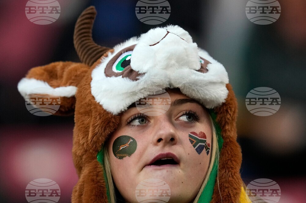 South Africa England Rugby
