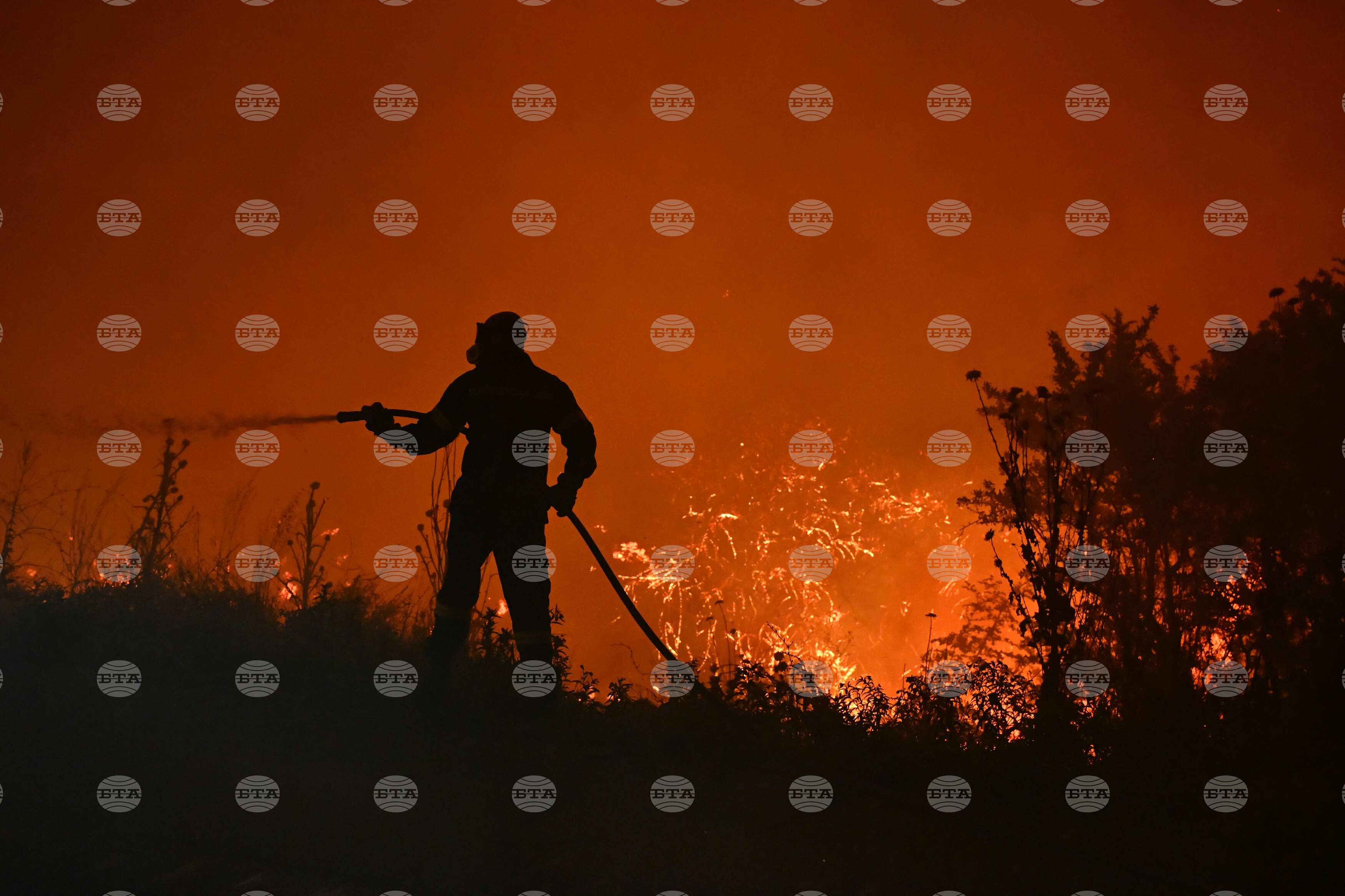 За едно денонощие в Гърция са възникнали 60 пожара; големият пожар в района на Солун засега е овладян