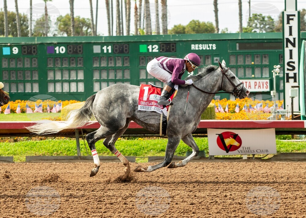 Los Alamitos Horse Racing