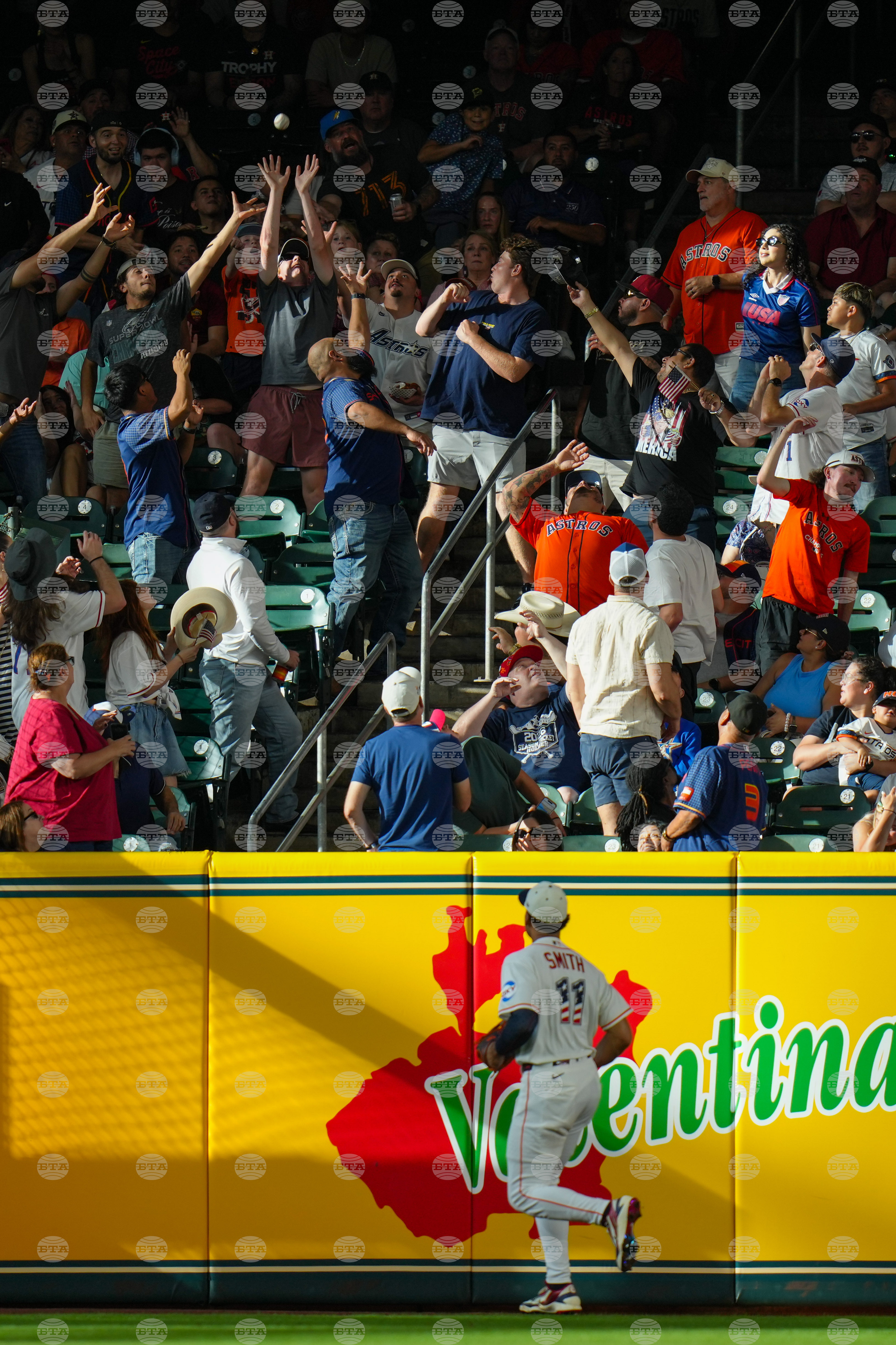 Rays Astros Baseball