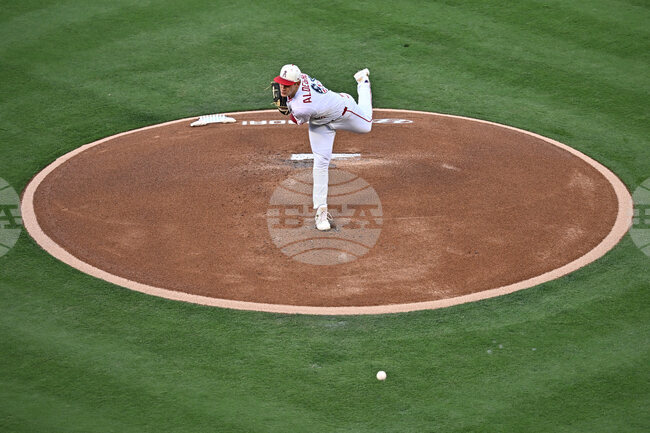 Red Sox Angels Baseball