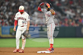 Red Sox Angels Baseball