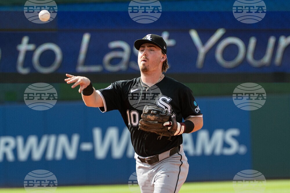 White Sox Guardians Baseball