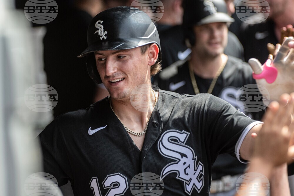 White Sox Guardians Baseball