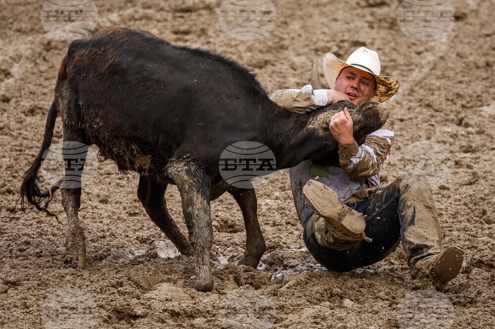 Calgary Stampede Rodeo