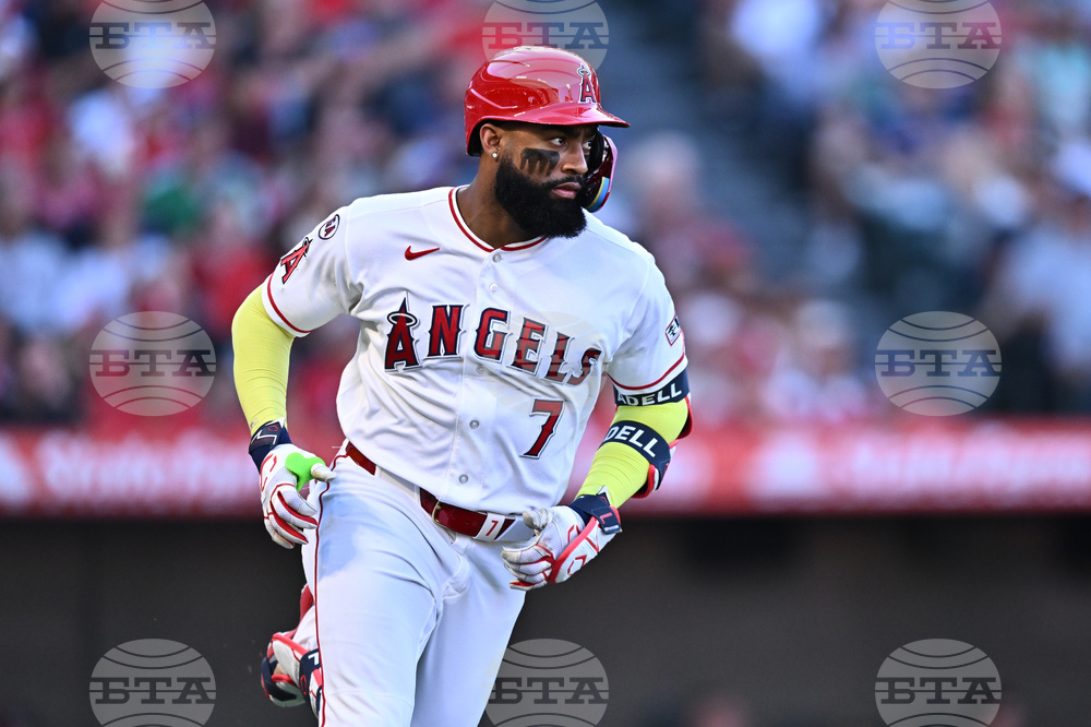 Red Sox Angels Baseball