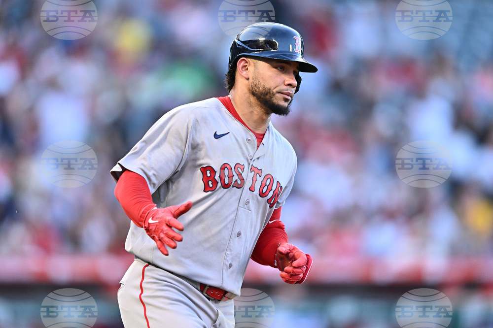 Red Sox Angels Baseball